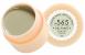 565 Gel Paint Гель краска 5мл