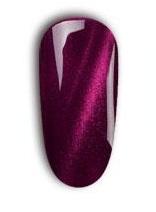 А23 GDCOCO Flame Cat Eye 8ml