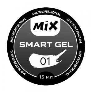 01 Smart Gel MIX 15ml