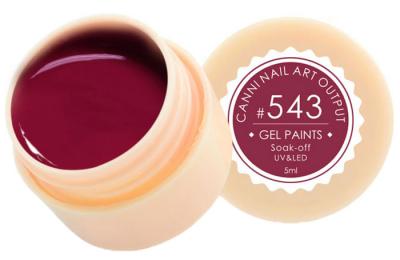 543 Gel Paint Гель краска 5мл