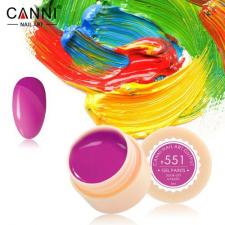 551 Gel Paint Гель краска 5мл