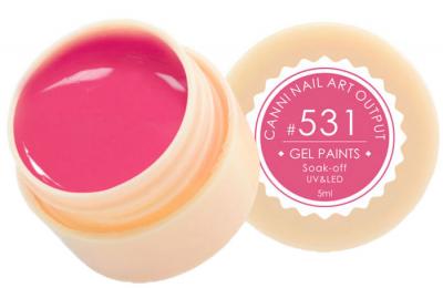 531 Gel Paint Гель краска 5мл