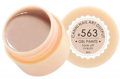 563 Gel Paint Гель краска 5мл