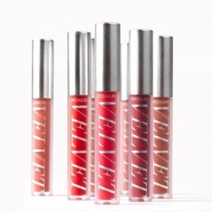 FA76 Velvet Liquid Lipstiks - 4#