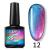 12 CANNI 9DCat Eye 7.3ml