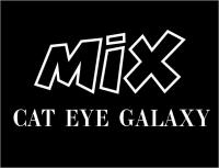 Гель лак MIX CAT EYE GALAXY