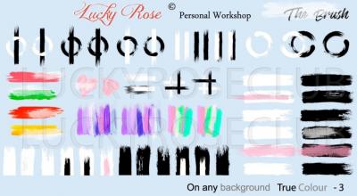 003 Слайдер дизайн LR True Colour